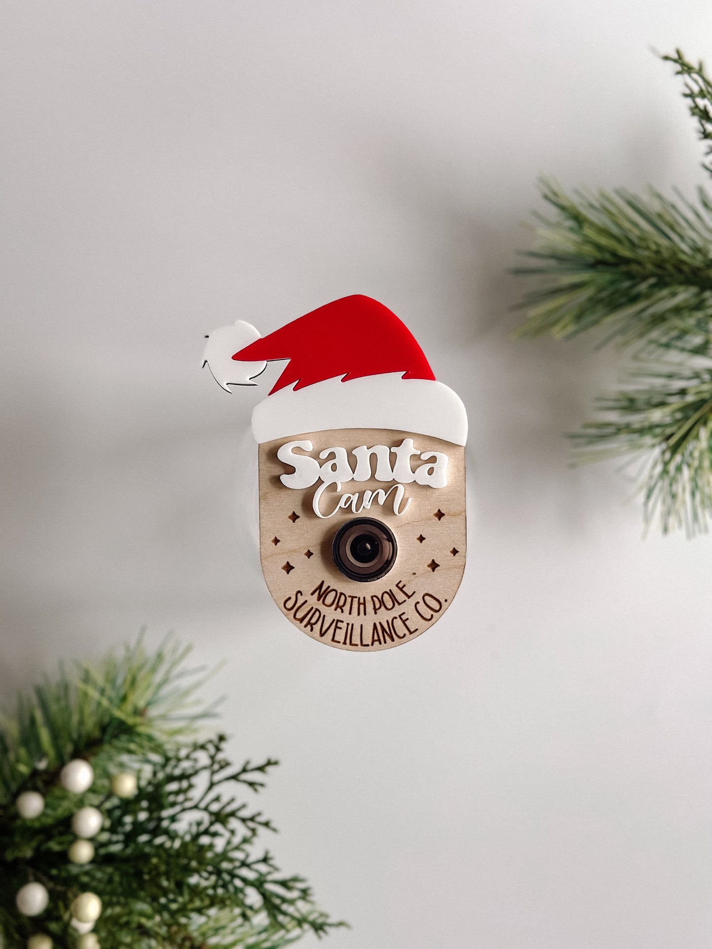 Santa Cam