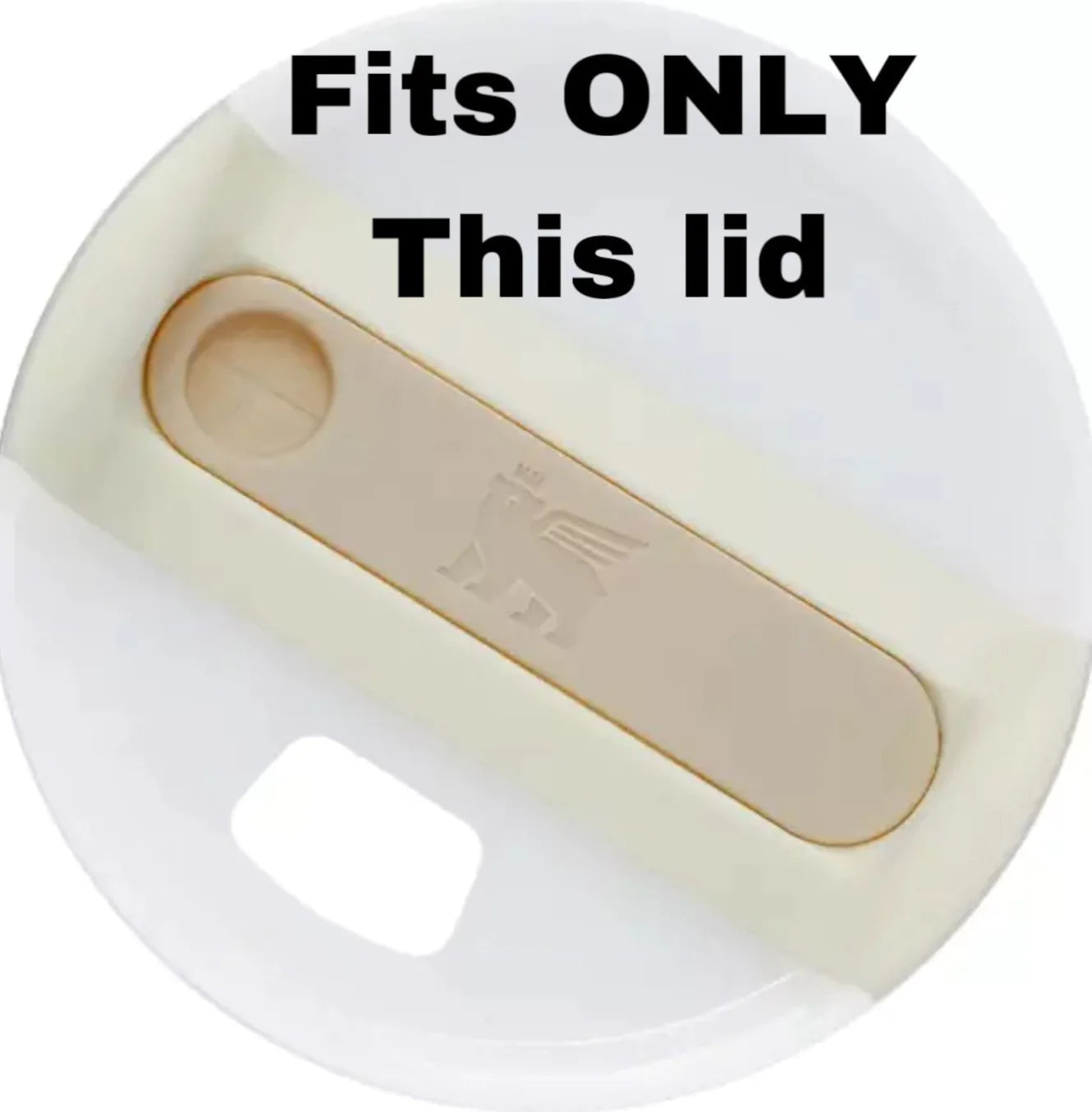 Halloween Stanley cup tags 40oz, ghost tumbler plates, name plates, tumbler tags